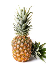 Pineapple fruit isolated on white background