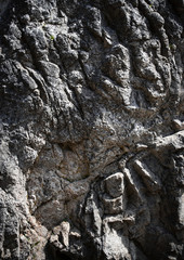 Fototapeta na wymiar folding detail of an old limestone rocks