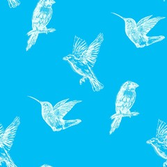Hummingbird seamless pattern. Hand drawn exotic background.