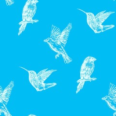 Hummingbird seamless pattern. Hand drawn exotic background.