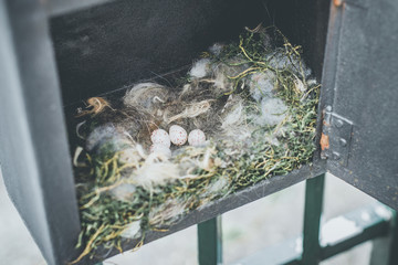 mailbox with surprise - springtime mood - desaturated style image