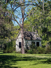 Swamp Shack