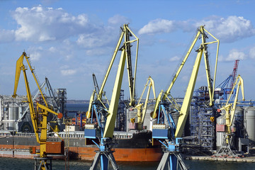 Industrial sea port with cranes.