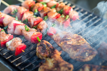Close up pf delicious chicken breast on wooden skew with fresh vegetables, garlic, paprika fried on mangal barbeque grill