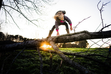 Girl climbing on a tree branch