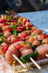 Close up pf delicious chicken breast on wooden skew with fresh vegetables, garlic, paprika fried on mangal barbeque grill