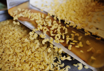 conveyor line for macaroni production