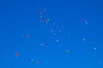 Multicolored balls, filled with helium, fly in the blue sky.