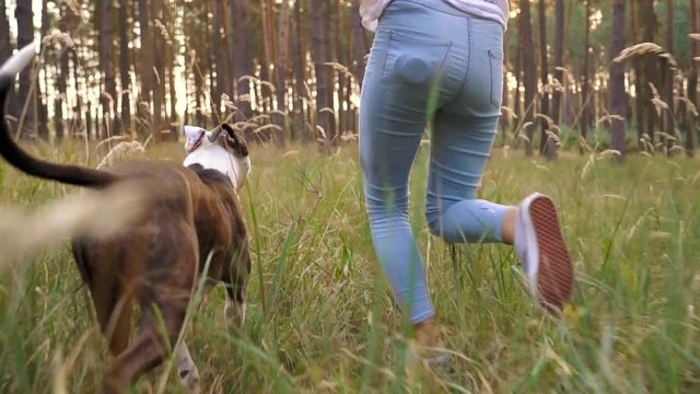Girl playing with her dog in the forest at sunset. Slow motion