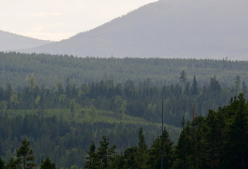 Foothill of Swedish mountain