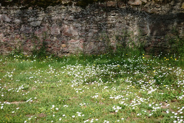 Wildwiese vor rustikaler Mauer / Eine rustikale Mauer aus versetzten und abgebrochenen Steinen auf einer Wiese mit Löwenzahn und Gänseblümchen.