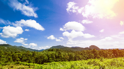 Tropical Landscape, Rain Forest Landscape, Summer Landscape, Beautiful Landscape