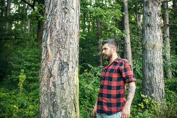 Side view brutal guy standing next to tree. Bearded hipster wandering in forest. Camping, nature concept