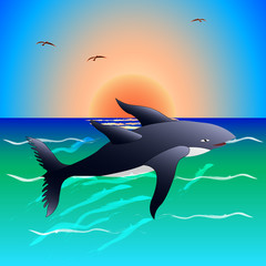 sea animal, fish, frolicking in the water at sunset