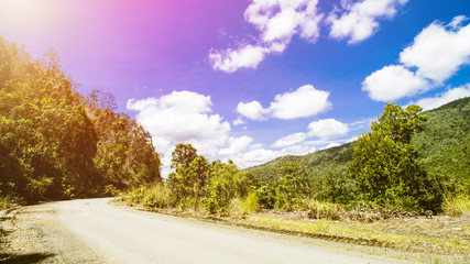 Tropical Landscape, Rain Forest Landscape, Summer Landscape, Beautiful Landscape