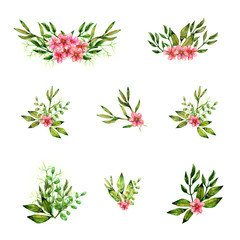 flowers objects beautiful summer colorful flowering pink floral watercolor paint green leaves branch decoration set isolated