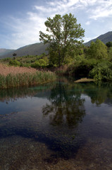 Going up the emerald river