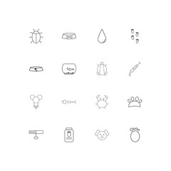 Animals linear thin icons set. Outlined simple vector icons