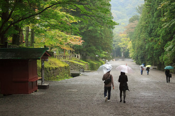 Fototapeta na wymiar friends walking and travel in nikko national park during raining season