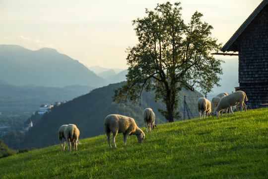 heuberg, salzburg, sommer