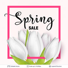 Spring season white tulips and sale text.
