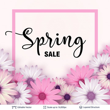 Spring season flowers and sale text.