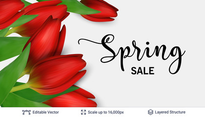 Spring season red tulips and sale text.