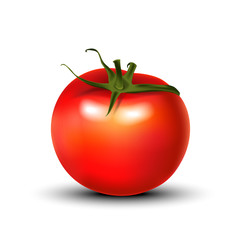 Realistic 3d red tomato isolated on white background. Good for ketchup packaging or web design.