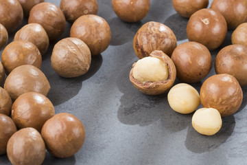 Macadamia nuts - Macadamia integrifolia
