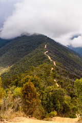 Billy Goat Bluff Track, Victorian High Country