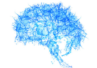 Brain made with water