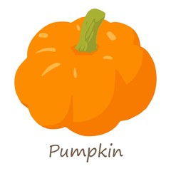 Pumpkin icon. Isometric of pumpkin vector icon for web design isolated on white background