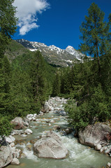 Forest with glacier creek and snowy mountains and blue sky in Argentiere. An adorable ski and hike resort located in Haute-Savoie Province, near Chamonix in the French Alps.