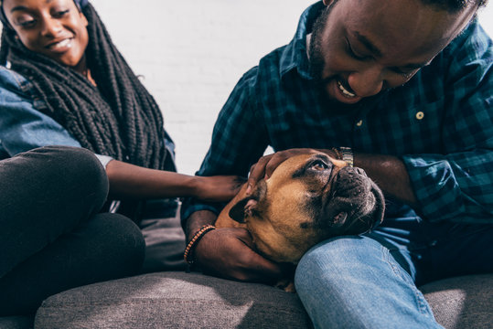 Young African American Couple Sitting On Couch And Touching French Bulldog