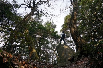 自然の風景