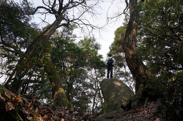 Obraz premium 自然の風景