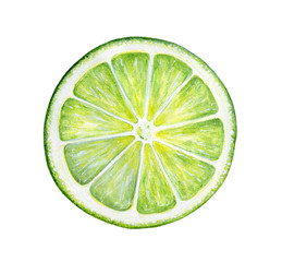 Round slice of green fresh lime. Culinary fruit, natural source of vitamin C, component of many classic cocktails and traditional pies. Hand painted watercolor drawing on white background, isolated.