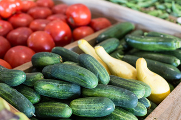 Farmer's Market Zucchini, Squash, Cucumbers, Tomatoes