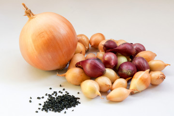 onion, onion seeds