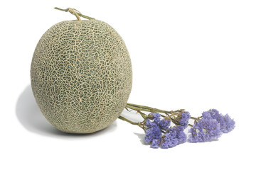fresh big green Melon Fruit with Lavender flower isolate on white background
