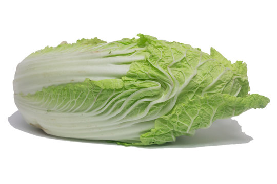 Chinese Cabbage isolated on white background
