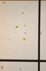 障子、朝日の透過光にて