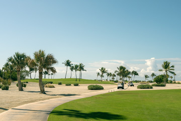 Golfcars on the golf course, game, recreation and sports