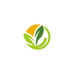 Leaf Nature Ecology Creative Logo Design Template