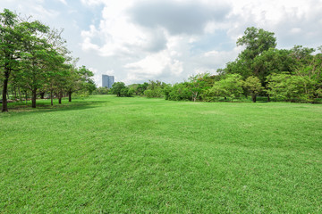 Green grass field in park at city center
