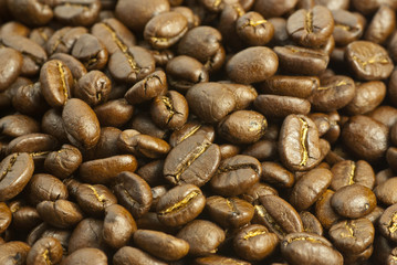 Brown coffee beans