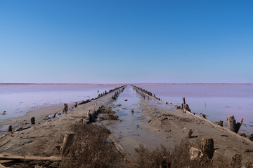Pink salty lake with an old wooden pier. An ancient method of extracting salt from the sea.