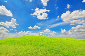 Green grass and blue sky with clouds