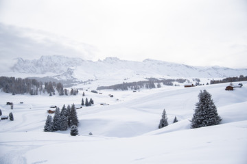 Fototapeta na wymiar beautiful view of winter in italy