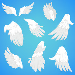 Wings vector white bird feather icons